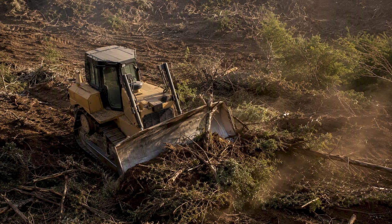What Land Clearing Actually Costs in 2026