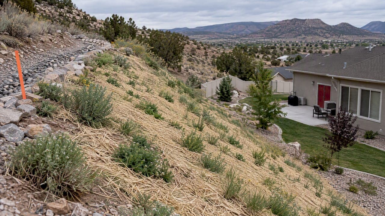 Erosion Control for Slopes: Methods That Hold Soil